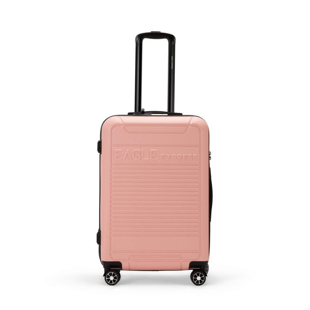 Defender ABS Hard Check-in Luggage | 24 inches